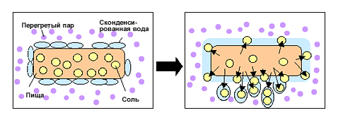 Механизм удаления соли из продукта (иллюстрация с сайта sharp-world.ru).