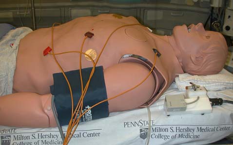 Стэнов лечат по всему миру. Этот робот болеет в Пенсильвании (фото с сайта hmc.psu.edu).