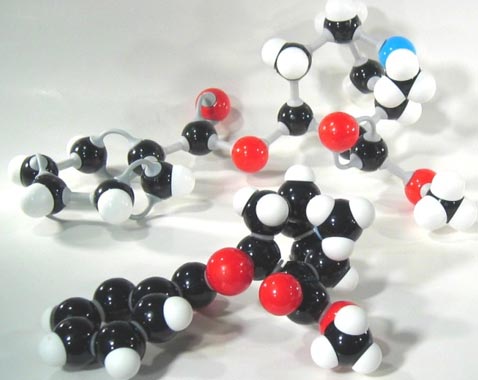 Компания Indigo продаёт молекулярную модель кокаина в виде набора-конструктора за $45 (фото с сайта indigo.ru).