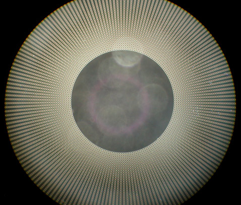 Крупный снимок наглядно показывает, что новая роговица — не просто полимерный кружок, а настоящее произведение искусства (фото Stanford University)<!-- SP1626D331 -->.