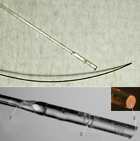Вверху: эндоскоп OFDI  (в верхней части снимка) в сравнении с человеческим волосом (в нижней части). Для эндоскопа используется волокно толщиной от 80 до 250 микрометров. Внизу: наконечник эндоскопа; 1 — оптоволокно, 2 — линза, 3 — дифракционная решётка (иллюстрация D<!-- SP1626D333 -->. Yelin et al.).