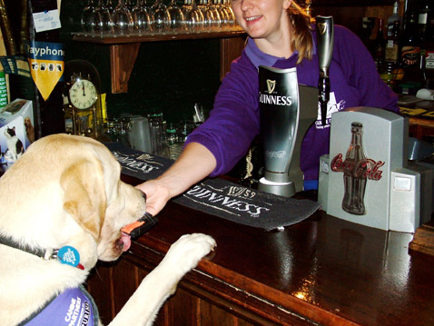 Неназванная собака подаёт кошелёк бармену, чтобы расплатиться за пиво Guinness (фото с сайта caninepartners.co.uk).