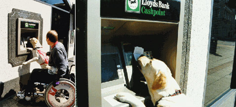 Довольно старый снимок Партона и Эндала намекает, что в работе с банкоматом у пса большой опыт (фото с сайта milleniumdog.freeserve.co.uk).