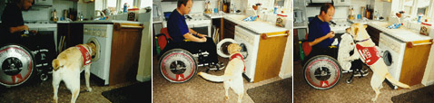 Эндал помогает Аллену управиться со стиральной машиной (фото с сайта milleniumdog.freeserve.co.uk).