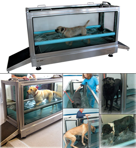 Hydro Physio для собак. Здесь можно создавать не только потоки воды, но и регулировать их температуру (фотографии Hydro Physio)<!-- SP1626D331 -->.