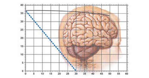 Графики снижения температуры в глубине головного мозга (°С) при внешнем охлаждении (чёрная кривая) и при дополнении его Ice Slurry (синий пунктир). Внизу – время в минутах (иллюстрация Argonne National Laboratory)<!-- SP1626D331 -->.