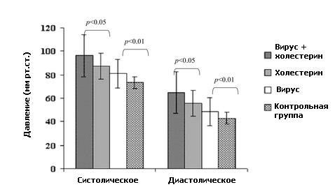 Соотношение систолического и диастолического давлений в разных группах мышей (иллюстрация PLoS Pathogens).